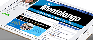 Political Campaign